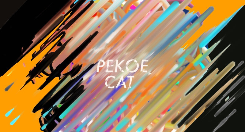 Pekoe Cat