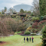 Swooner (10th Anniversary Special Edition)