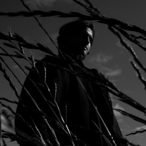 The Martyr