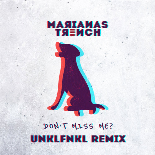 Don't Miss Me? (Remix)