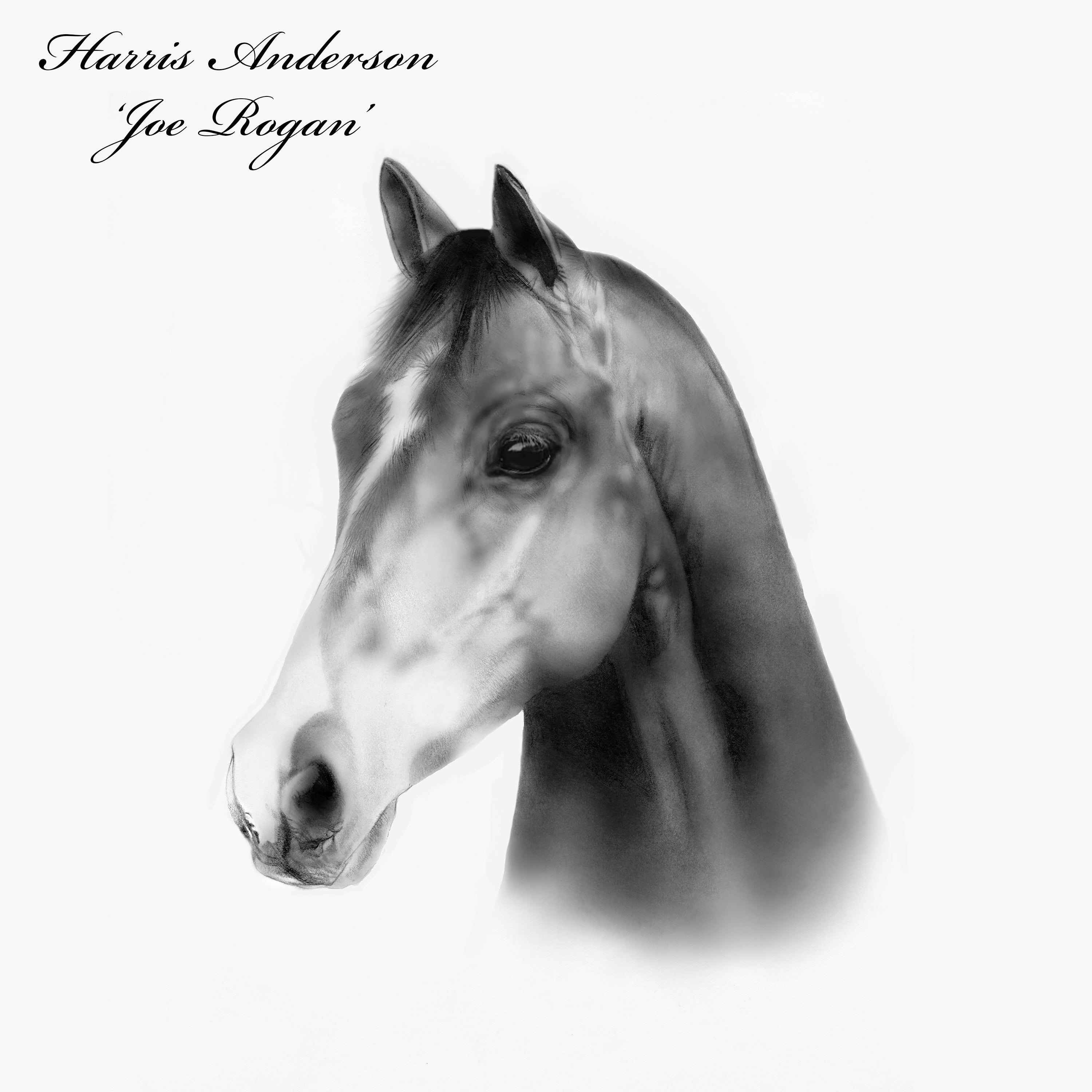 Harris Anderson - Joe Rogan – 604 Shop